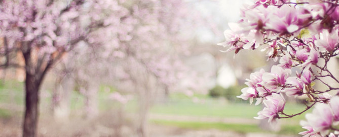 efectes-primavera-en-el-teu-descans