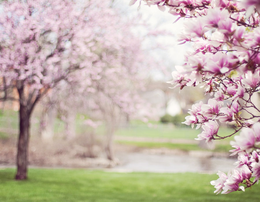 efectes-primavera-en-el-teu-descans